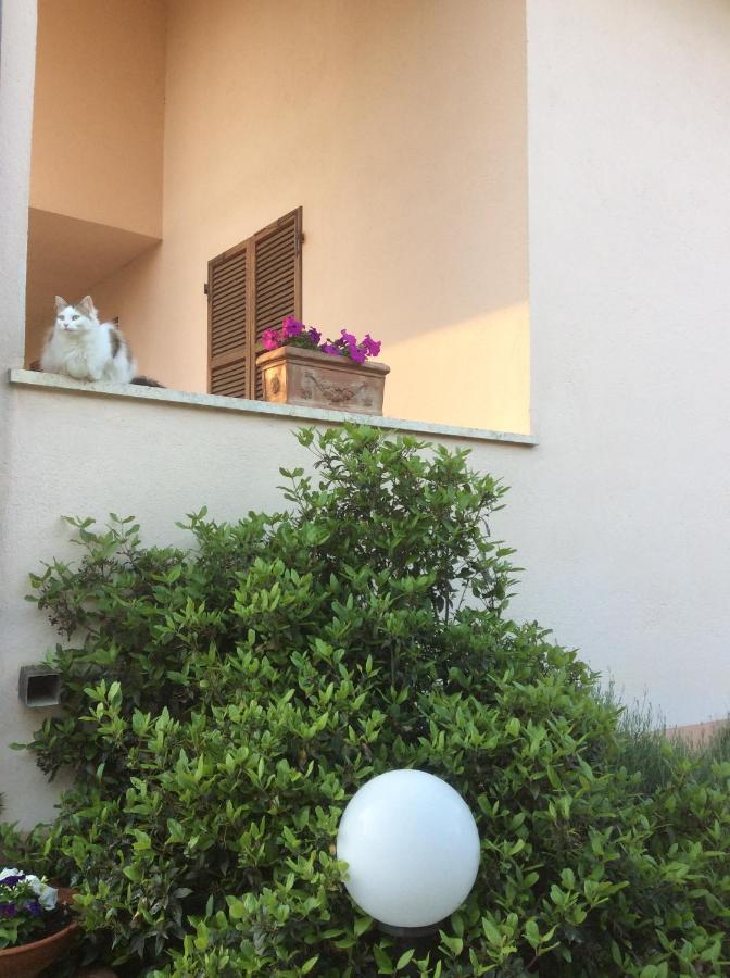 B&B Il Frassino Perugia Exterior photo