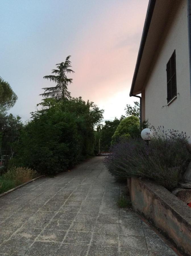 B&B Il Frassino Perugia Exterior photo