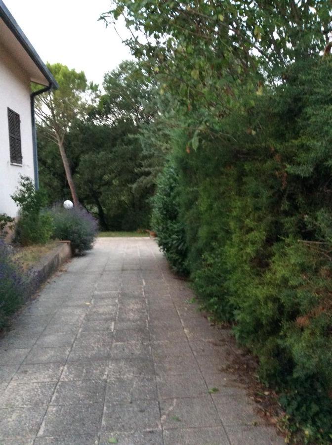 B&B Il Frassino Perugia Exterior photo