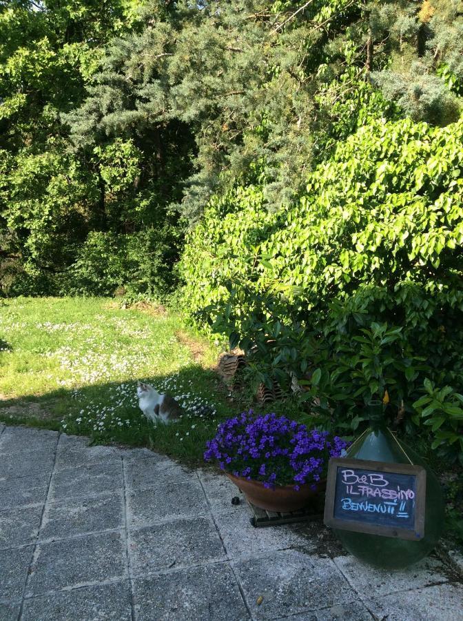 B&B Il Frassino Perugia Exterior photo