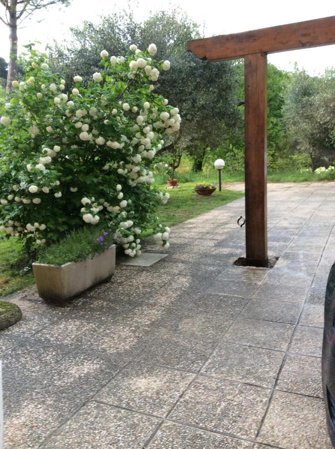 B&B Il Frassino Perugia Exterior photo